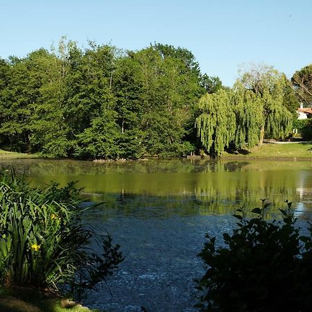 Residence Saint Clair Balma Bagian luar foto